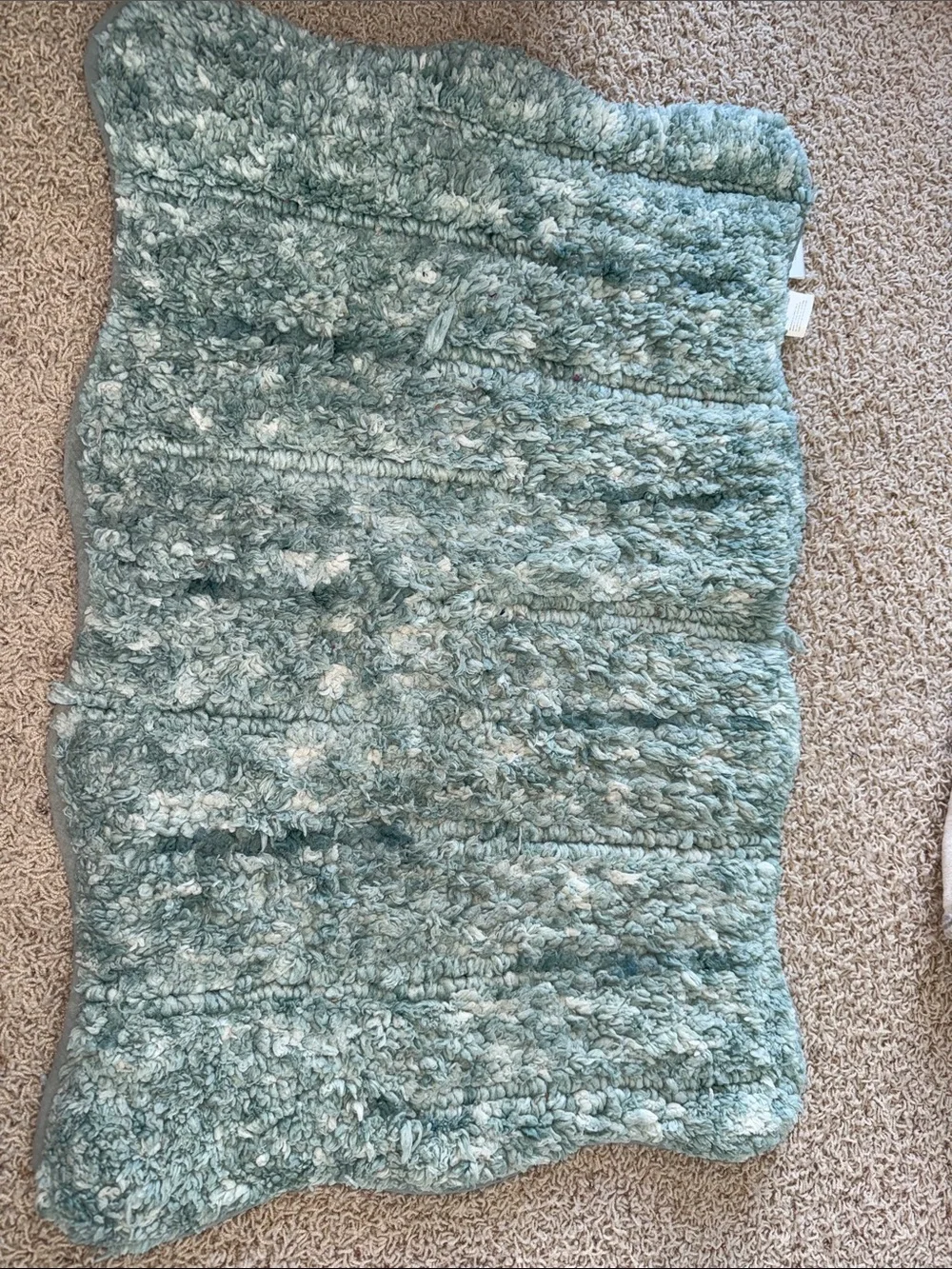 Plush Shaggy Area Rug in Seafoam Green